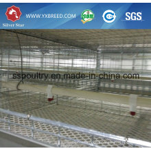 H Type Automatic Cages with Equipments